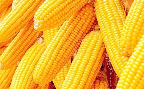 玉米秸秆购销合同通用